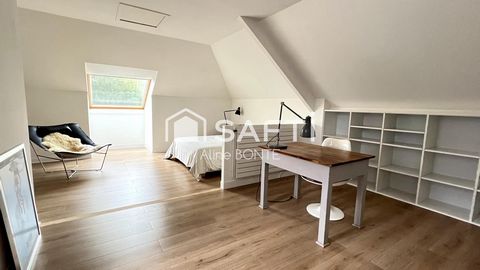photo no. 15
