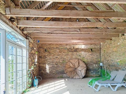 photo no. 16