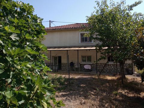 photo no. 10