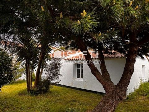 MAISON LE VIEIL 165 M2 avec jardin