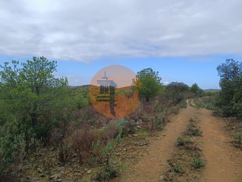 Land with 60,200 m2, Palmeira in Alcoutim - Algarve. Land with good access. Land with many trees. Open view of the Serra Algarvia. In the middle of Nature. Possibility of building a house for the farmer and agricultural support and/or warehouses, up ...