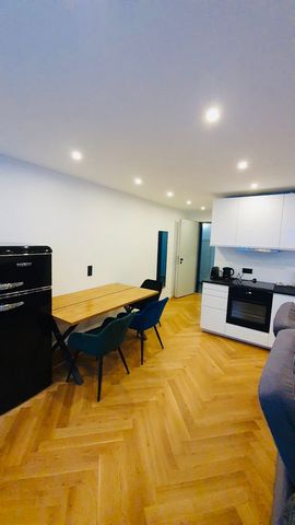 This studio apartment has a size of 40 m² and is equipped with a high-gloss kitchen. Internet etc. is of course also available. There is also a sofa bed with a lying area of 1 m 40 × 2 m. The apartment is located in the most popular area of the city.