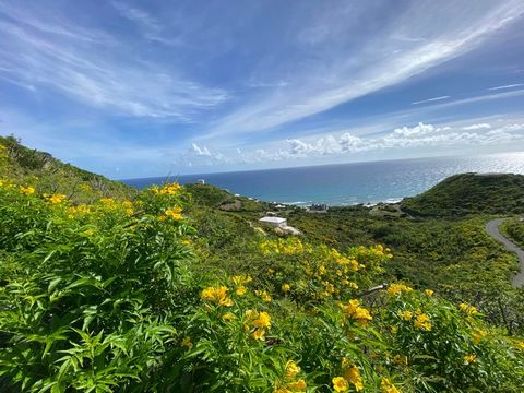 Over one acre sea view property on a hillside in quiet South Grapetree. If you are looking for space with no adjacent neighbors on a paved street, this is your spot. Walk to the Nature Conservatory's 300 acre preserve to the east and on the other sid...