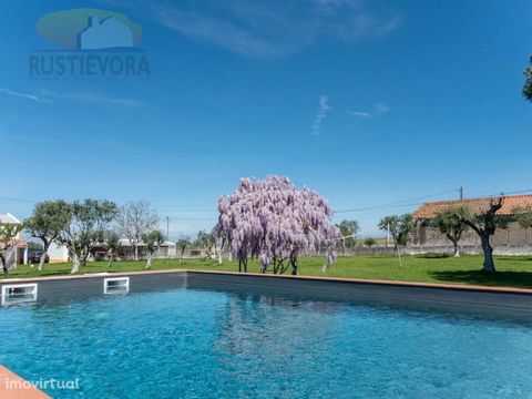 Fantastic Quinta of 1ha 3 minutes from Viana do Alentejo and 25 min from Évora. The Quinta is located in an area of other farms where you can safely enjoy with tranquility the sounds of Nature. In the fully fenced farm there is a 6 bedroom villa, an ...