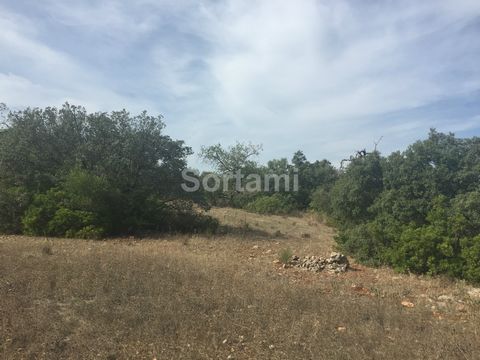 Plot of land ideal for agriculture situated in an area very close to Querença. Located just 10 minutes from Loulé.
