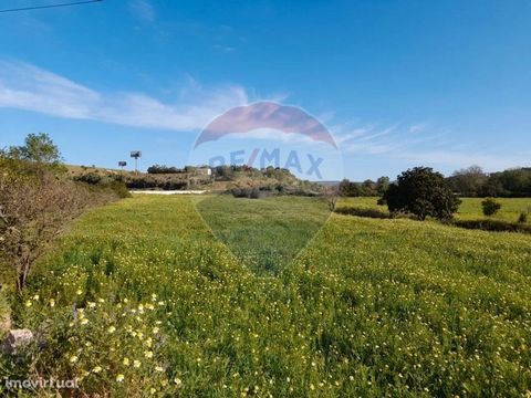 Rustic building with a total area of 27290 m2. Good land for agricultural purposes.