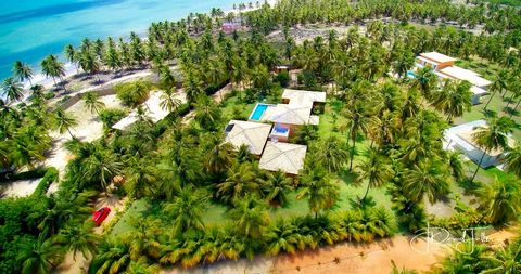 NEW YORK TIMES BRAZILIAN PROPERTY FEATURE This exquisite Brazilian beach property in Natal has 5 on-suite bedrooms and sits on a huge 5000m2 land plot overlooking a spectacular stretch of beach and emerald blue waters of the Atlantic ocean. This is a...