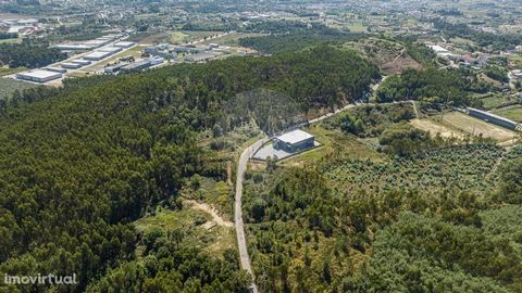Terreno com 16.200m2, com ligeiro declive 250 metros de frente de estrada Excelente exposição solar Qualificado segundo o PDM de Guimarães, como 