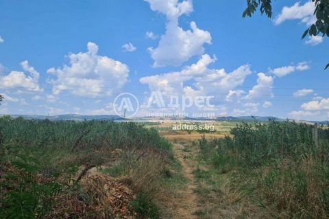 Flat plot with regular shapes in regulation, in a quiet and peaceful place, 5min. from the center of Kostibrod and 15min. from Sofia. One owner and ready documents for a deal. Communications: electricity and water in front of the plot. 35 meters on a...