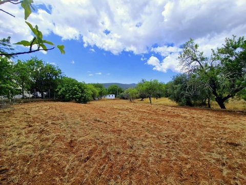 Build 3, sell 2 and keep one for yourself. Excellent investment opportunity. Urban land located in the village of Tor a few minutes from Loule and close to the brand new Quinta da Ombria golf resort. Type B urban class with 2.130 sqm and written coun...