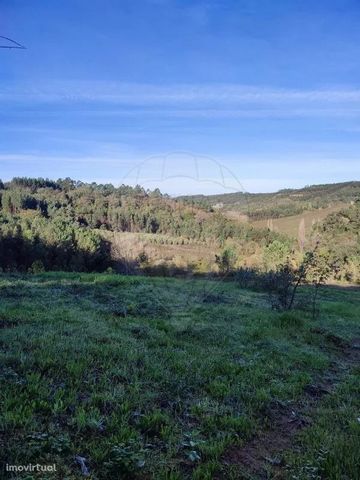 DEVELOPABLE LAND FOR SALE - ALCOBAÇA   Do you dream of living in harmony with nature, so that you can enjoy it in its purest state, create an estate with unobstructed views over the fields and, eventually, set up your own Local Accommodation business...