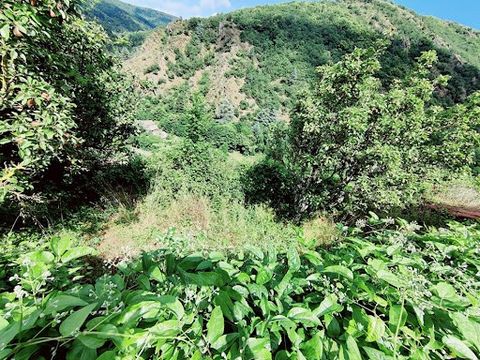 Stenen huis gelegen in de Montagne Noire, het bestaat uit 4 slaapkamers, waarvan 2 op de begane grond, een badkamer met toilet, een balkon met uitzicht op de Montagne Noire. Het huis is verfraaid met een eigen parkeerplaats, een grote kelder, verschi...