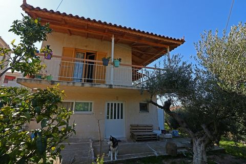 Das Haus liegt am Fuße des Berges Kyparissia- Messinia. Zweigeschossig 80 m2 Die erste Etage umfasst 2 Schlafzimmer, 1 Wohnzimmer, 1 Küche und ein Badezimmer. Die riesige Terrasse gibt Ihnen die Möglichkeit, Ihren Kaffee oder das Essen zu genießen mi...