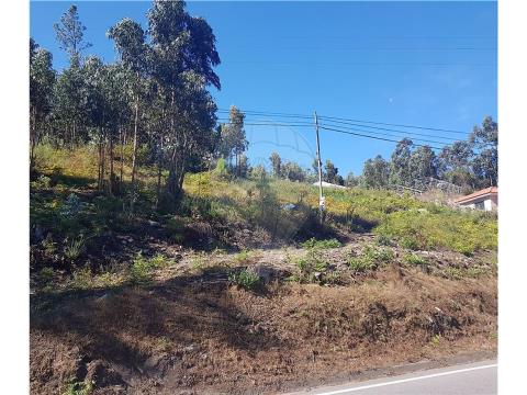 Terreno em Vilela Póvoa de Lanho Com boa frente de estrada; Possíbilidade de construção de uma moradia de um piso; Bons acessos e local soalheiro; Se tem o sonho de morar num local trânquilo usufruinda do melhor que a natueza tem, ligue já; Agende a ...