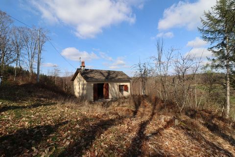 Placed beautifully in the countryside just outside the beautiful town of Neuvic is this small house with barn on land of 11 303m2 with the most stunning view. Approaching the property you are immediately taken by the beautiful positioning of this pla...