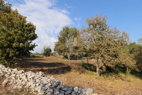 Location: Istarska županija, Bale, Bale. Istrien, Gemeinde Bale - Baugrundstück In einem malerischen Dorf in der Gemeinde Bale befindet sich dieses wunderschöne Baugrundstück mit einer Gesamtfläche von 568 m². Das Grundstück liegt auf der sonnigen Se...