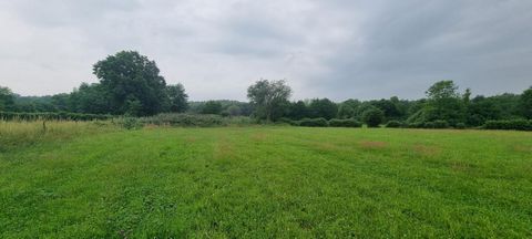 59132-Glageon Proche de la frontière Belge, terrain d'environ 5100m² avec une vue agréable, bien situé, les 35 premiers mètres en partant de la route sont constructible soit environ 700 m², ce qui permet de réaliser un beau projet la longueur de faça...