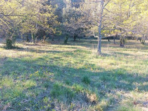 A 5 mn à l'Est de Vaison la Romaine, venez découvrir ce joli terrain de 1350 m2 arboré, exposé plein sud avec un permis de construire pour une habitation de 100m2 habitables, un garage et une piscine. L'habitation est prévue avec un séjour, une cuisi...