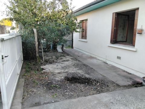 photo no. 7