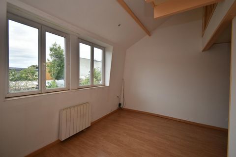 photo no. 4