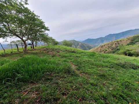 Presentamos nuestra exclusiva Parcelación de Lotes en Venta. Lote con un área de 4495,7 Entorno Natural: Más de 20 hectáreas de reservas naturales, donde la biodiversidad y el verdor son protagonistas. Infraestructura Lista: Lotes con acceso vial y e...