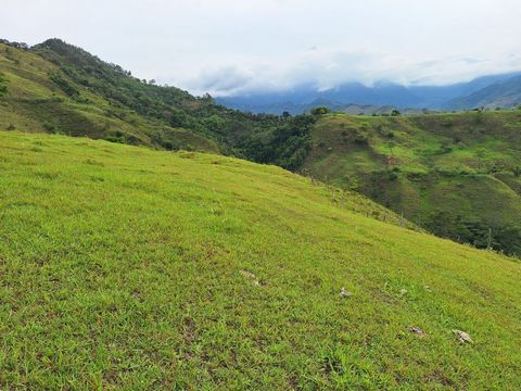 Te presentamos la exclusiva parcelación de lotes en venta. Contamos con un lote de 4575.5 m², ubicado en un entorno natural impresionante que abarca más de 20 hectáreas de reservas naturales, donde la biodiversidad y la belleza natural son protagonis...