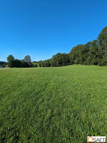 Plot of land for sale in Foncine-le-haut, a dynamic commune with shops, schools, ski slopes and 3 Swiss border zones accessible in 25 to 40 minutes. Building plot with open views. Not serviced (water and electricity at the edge of the plot). Individu...