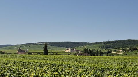 VOUGEOT - HALVVÄGS MELLAN DIJON OCH BEAUNE: Beläget i hjärtat av vingårdarna i Bourgogne, ett UNESCO: s världsarv, några steg från den mytomspunna Clos de Vougeot, står detta exceptionella fastighetskomplex i hjärtat av byn Vougeot. Med en yta på cir...