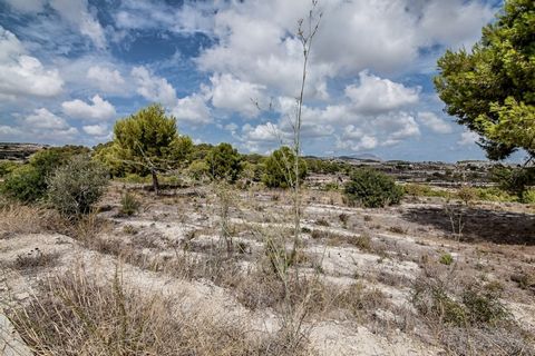 Dit perceel ligt aan de rand van het dorp Moraira Hierdoor kunt u profiteren van alle moderne voorzieningen en infrastructuur en een perfecte bereikbaarheid Je koopt het beste van beide werelden Het land is vlak waardoor het gemakkelijk is om op te b...