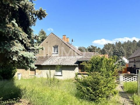 Bent u op zoek naar een nieuwe woning met potentie aan de rand van het bos? Welkom in het idyllische Brandenburg! Dit charmante huis biedt ruime kamers, een uitnodigend terras en veel potentieel voor de verbouwing van de zolder. Gelegen aan de rand v...