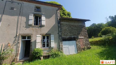photo no. 2