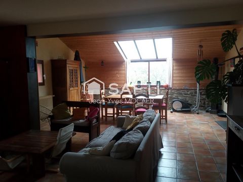 photo no. 8