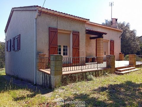 photo no. 16
