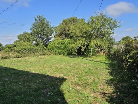 photo no. 17