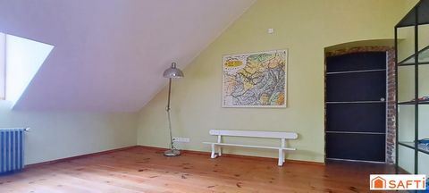 photo no. 10