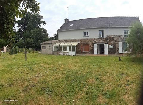 photo no. 4
