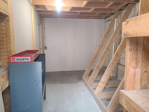 photo no. 11