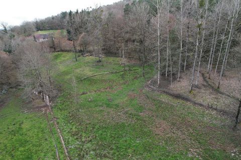 terrain avec source