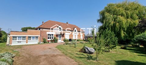photo no. 15