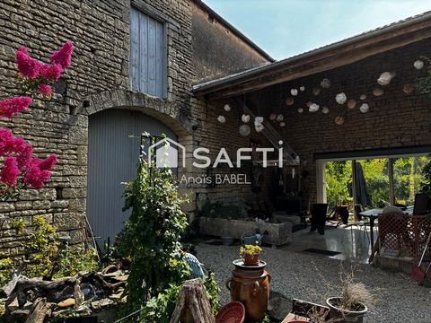 photo no. 15