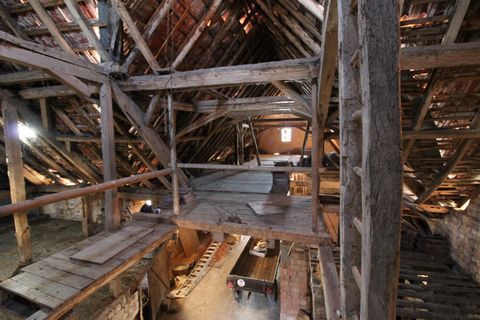photo no. 9