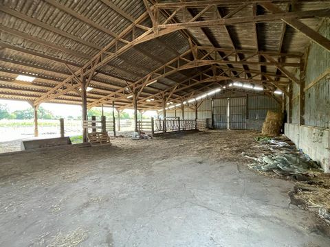 photo no. 1