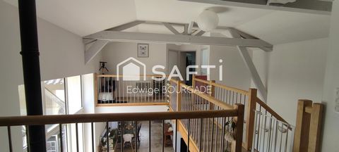 photo no. 16