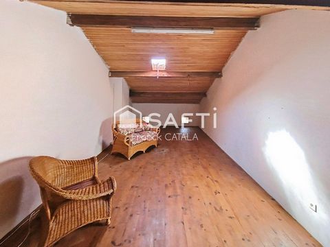 photo no. 14