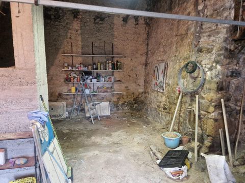 photo no. 10