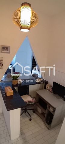 photo no. 6