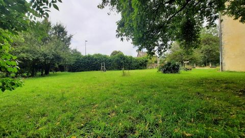 photo no. 16