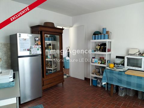 photo no. 8