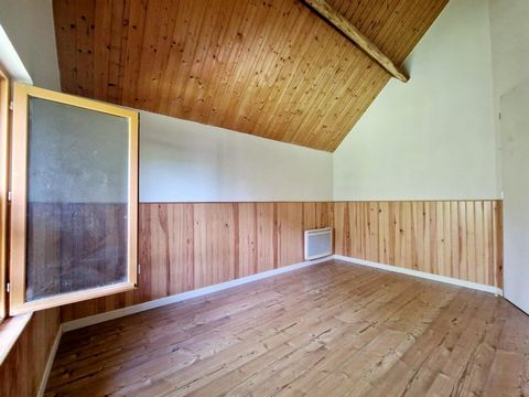 photo no. 15