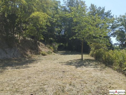 photo no. 5